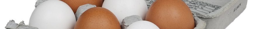 Huevos blancos y morenos en una caja de cartón
