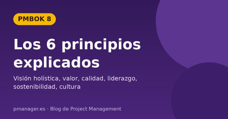 Los 6 principios del PMBOK 8 explicados